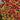 Garden Coleus Mixed Seeds, 200 Seeds