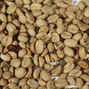 Yunnan Pu'er Catimor Parchment Coffee, 50 Seeds