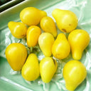 Yellow Pear Tomato Seeds, 100 Seeds