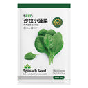 Jingyan Salad Baby Spinach Seeds, Pack of 0.35 OZ