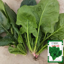 Japanese Large-Leaf Spinach Seeds, 50g