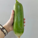 Xinbaoda Ice Cream Radish Seeds, 5g