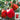 Red Bell Pepper Seeds, 20 Seeds