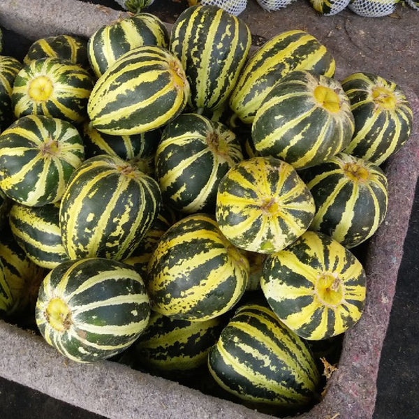 Bing Tangzi Melon, 50 Seeds