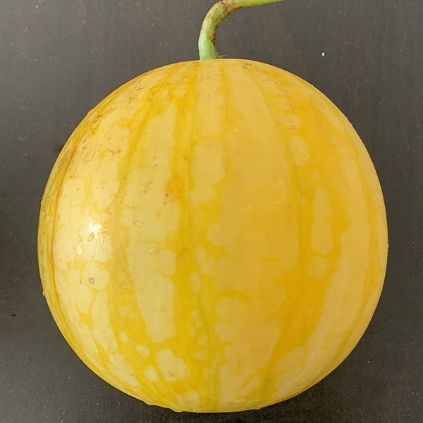 'Golden Baby' Watermelon Seeds