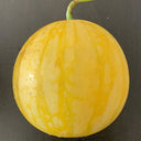 'Golden Baby' Watermelon Seeds