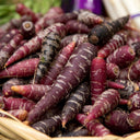 Purple Carrot F1 Seeds, 5 Grams ≈ 3000 Seeds