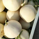 Shengyu No.1 F1 Melon, 200 Seeds