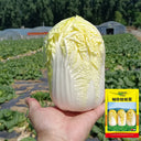Huanai Baby Pak Choy Seeds, 10g