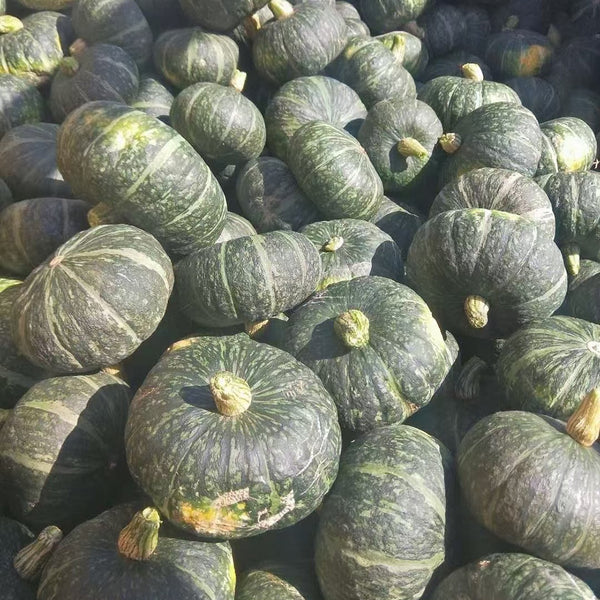 'Yi Nong Jin Li' Pumpkin Seeds, 10g