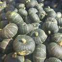 'Yi Nong Jin Li' Pumpkin Seeds, 10g