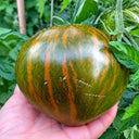 30 Marsha's Starfighter Heart Tomato, 5 Seeds