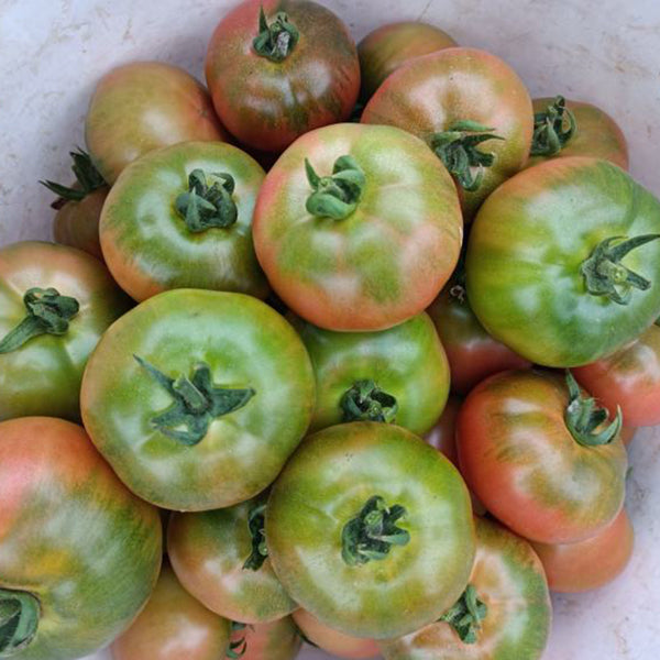 Sweet Heart Fruit Tomato, 100 Seeds