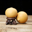 Egg Gourd, 10 Seeds