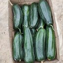 Black Ribbed Crisp Melon Seeds, 2g