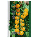 ‘Yellow Millennium’ Cherry Tomato Seeds, 50 Seeeds