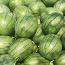 Zaochun Hongyu Watermelon Seeds, 20 Seeds