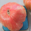 739 Pink Jazz Tomato, 5 Seeds