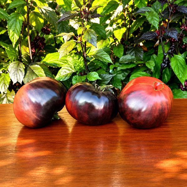 333 Dirty Curty Tomato, 5 Seeds
