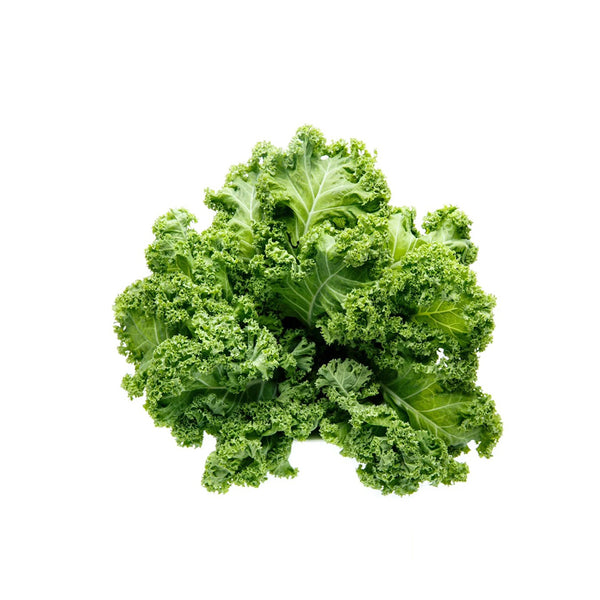 Curly kale Seeds, 10g