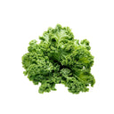 Curly kale Seeds, 10g
