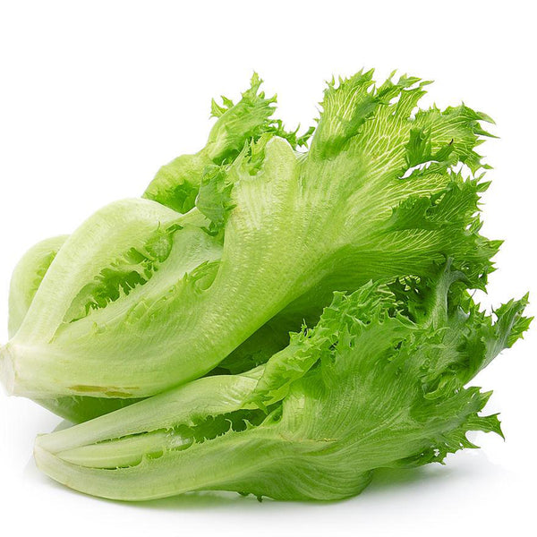Chrysanthemum Salad Lettuce Seeds, 1g