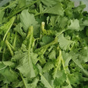 Lvyou No.12 Youcaitai Seeds, 10g
