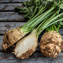 Celeriac 'Giant Prague' Seeds, 2000 Seeds