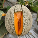 Shuaiguo No.9 Netted Melon Seeds, 10g