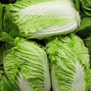 Fengkang 70 Chinese Cabbage Seeds, 5 × 3g Bags