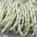 Huajun No.9 Kidney Bean Seeds, 10g