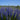 U2221 Blue False Indigo, 5 Seeds