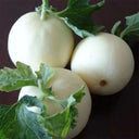 White Sweet Melon Seeds, 2g