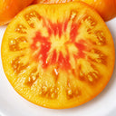 556 Tasmanian Blushing Yellow Tomato, 5 Seeds