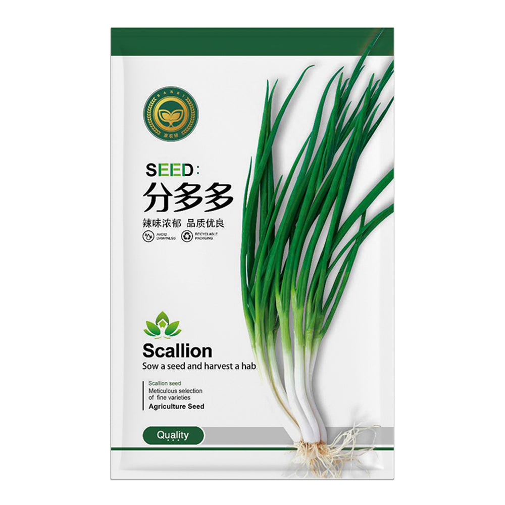 Jingyan Cutting-Edge Cultivar Scallion