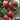 Super Sweet Mango Honey Tomato, 10 Seeds