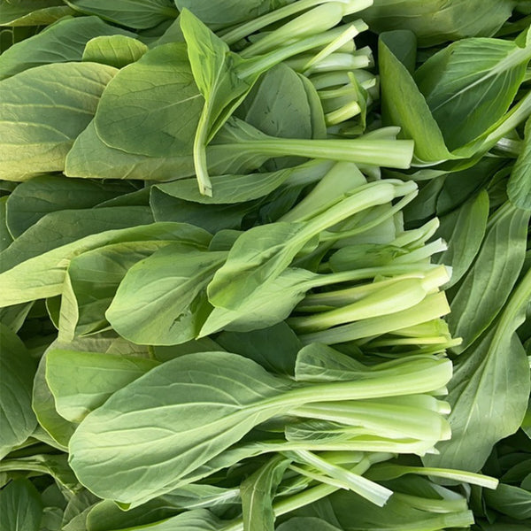 Jiemei Fast-growing Baby Bok Choy Seeds, 20g