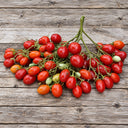 224 Reverend Michael Keyes Tomato, 5 Seeds