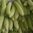 Jiemei 15 Bitter Gourd, 10 Seeds