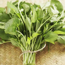 'Alishan' White Amaranth Seeds, 10g