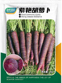 Blackish Purple Carrot Seeds, Pack of 380