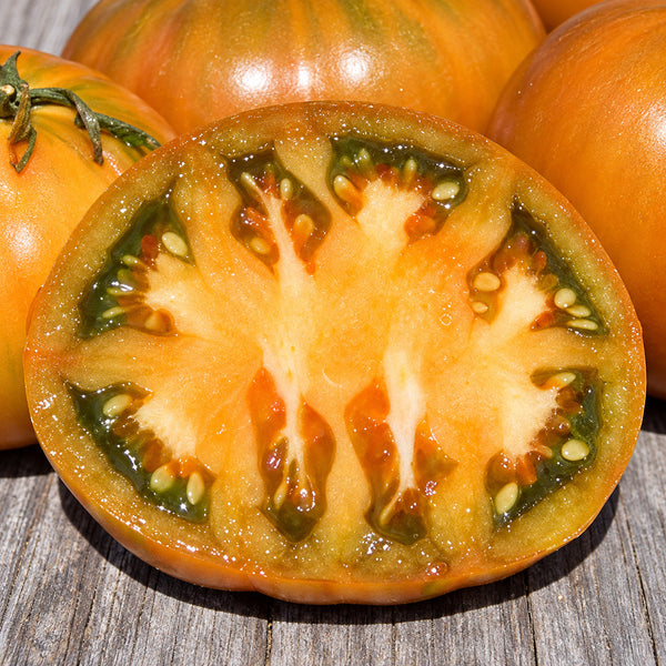 196 Kiwanis Tomato, 5 Seeds