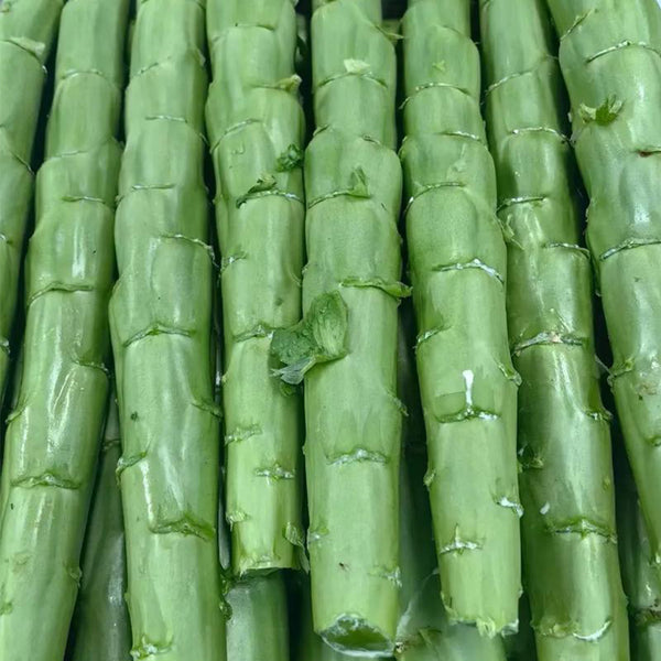 'Jiemei' Green Celtuce, 2000 Seeds