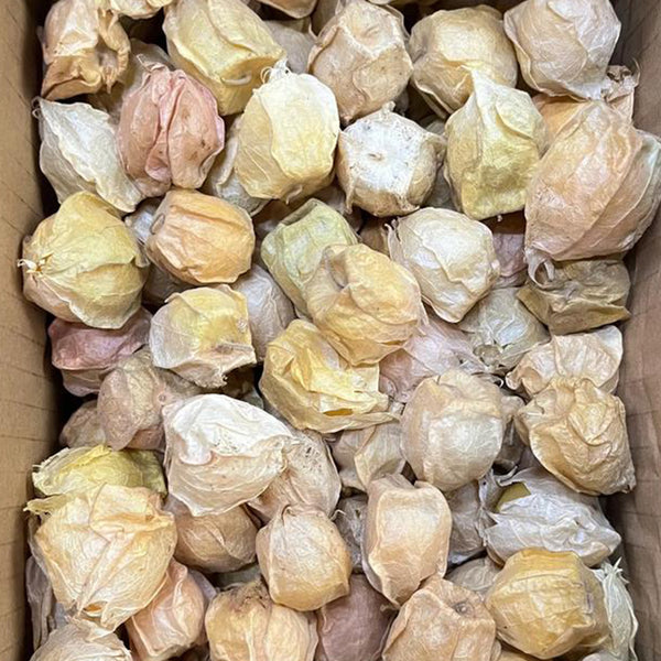 Groundcherry Seeds, 200 Seeds