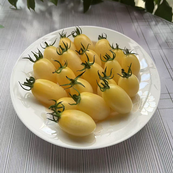'White Princess F1' Tomato Seeds, 6 Seeds