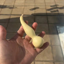 Twisted-Handle Ornamental Gourd, 10 Seeds
