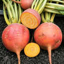 Yellow Beetroot Seeds, 2g