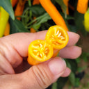 'Yellow La Mei' Long Chili Pepper Seeds, 2g