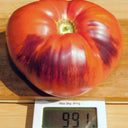 732 Sergeant Marley Tomato, 5 Seeds