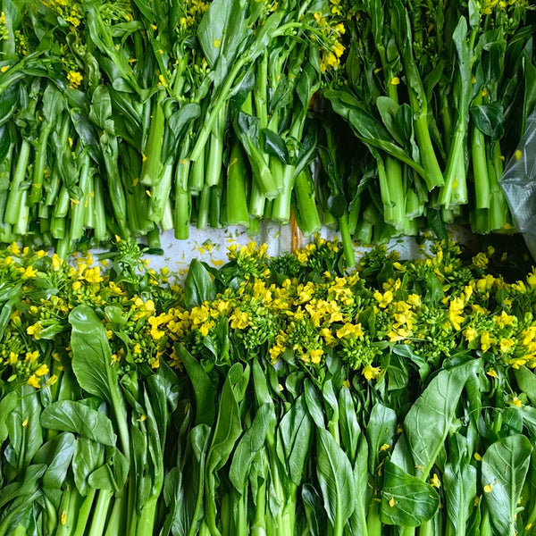 'Li Jian' 120-Day Sweet Choy Sum Seeds, 20g